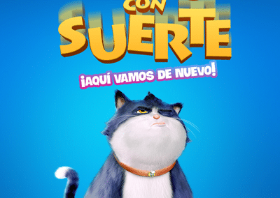 Un gato con suerte