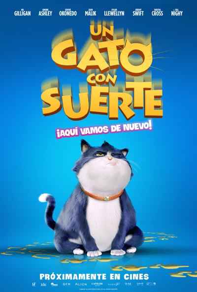 Un gato con suerte